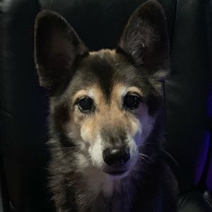 Meet your Posher, Jacob